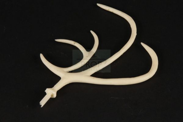 Nightmare Before Christmas (The) | Reindeer antler | The Prop Gallery