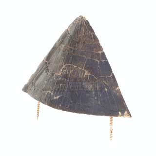 Jurassic Park - Triceratops “Paint Test” Epoccipital Bone – A701 | Icons of Pop Culture