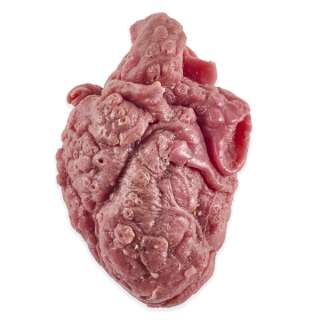 Davy Jones Heart from Pirates Dead Mans Chest | Studio Auctions