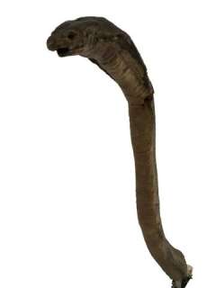 Crocodile Dundee II Animatronic Cobra Snake Movie Props | Premiere Props