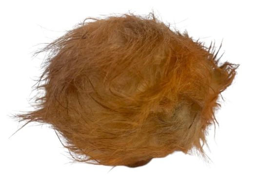 Lot 206 - Star Trek (1966–1969) - Tribble With LOA