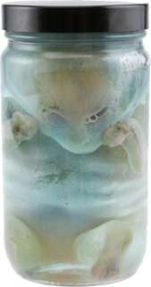 X-Files Alien Baby in Jar.... | Heritage