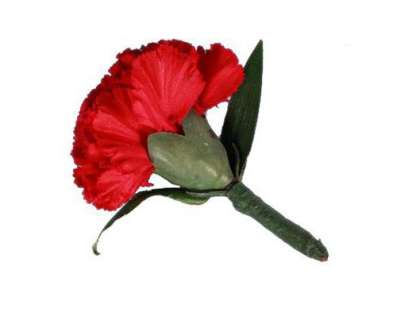 Boardwalk Empire - Lot 101NT - Nucky Thompson‘s Red Carnation