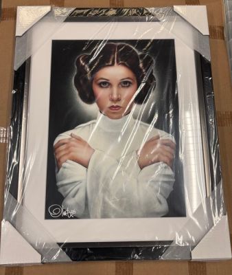 Olivia De Berardinis - Star Wars - LEIA: PRINCESS OF ALDERAAN | Catawiki