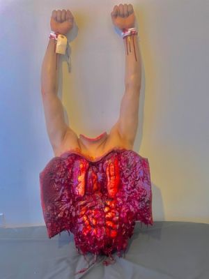 ripped human bloody torso body prop | eBay Europe (Buy It Now)