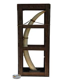 Lot 214 - Full-scale prop elephant tusk from Pirates of the Caribbean: Deadman‘s Chest