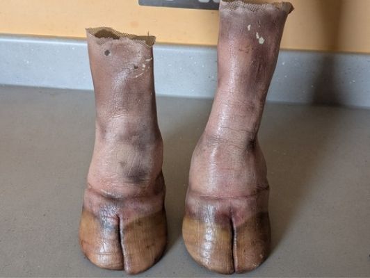 Doctor Who screen used pig hands (With COA) Interstellar Song Contest | eBay Europe (Buy It Now)