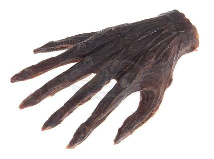Alien - Alien Creature Costume Hand | ScreenUsed