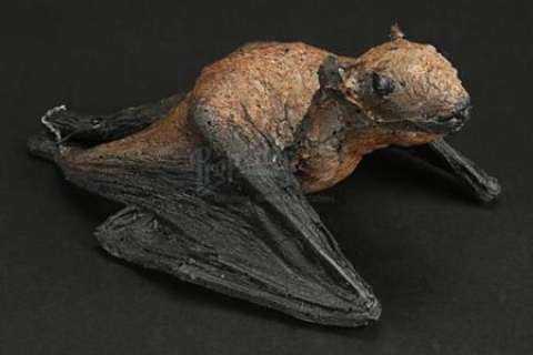 Batman Begins (2005) | Bat Cave Hanging Bat | Propstore