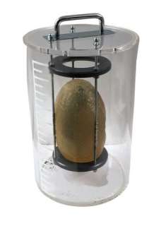 Sphere (1998) Screen Used Spawn Seed Framed Movie Props | Premiere Props