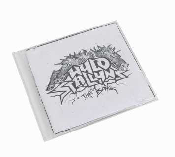 Bill & Ted Face the Music Wyld Stallyns CD & Cover | The Prop Block