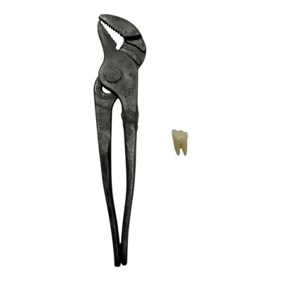 Lot 85: Mother Mary Sam Anselm Production Used Fake Prop Tooth & Prop Soft Pliers | VIP Fan Auctions