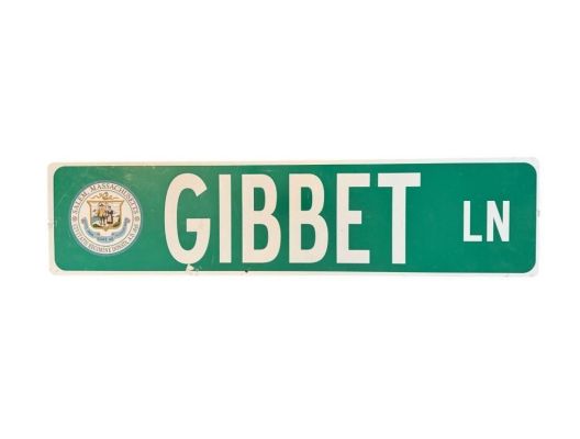 Lot 234 - Hocus Pocus 2 (2022) - "Gibbet Ln" Street Sign
