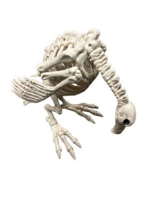 Hell Fest Vulture Movie Props | Premiere Props