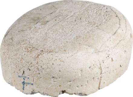 Frankenstein (Universal, 1931), Boris Karloff "The Monster" Head Appliance Plaster Casting used by Max Factor.