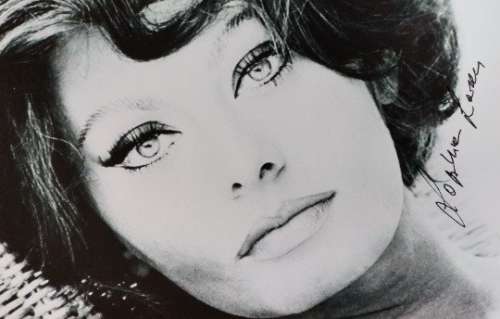 Sophia Loren | Sophia Loren - Signed Autographed Photo 12x8 in | Catawiki