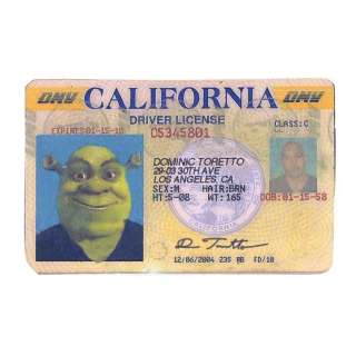 Fast & Furious (2009) - Lot 720 - Dominic Toretto‘s (Vin Diesel) Test Driver‘s License