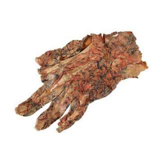 STAR WARS: REVENGE OF THE SITH (2005) - Lot 1343 - Anakin Skywalker (Hayden Christensen) Burnt Hand Make-up