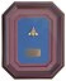 Battlestar Galactica - Lot #414 - Lee’s Farewell Gift - Hero Version