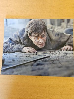 Harry Potter | Catawiki