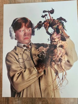 Harry Potter - Rupert Grint - with COA | Catawiki