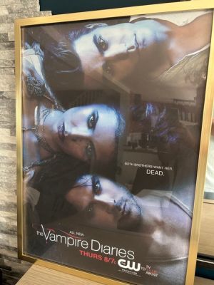 The CW - The Vampire Diaries - The Vampire Diaries