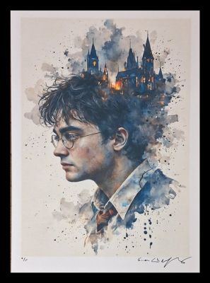 Harry Potter - Watercolor edition by Emma Wildfang - Large size | Catawiki