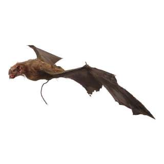 The Monster Squad (1987) | Animatronic Dracula Bat Puppet | Propstore