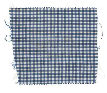 Wizard of Oz, The - Dorothy Dress Fabric (Judy Garland) | ScreenUsed