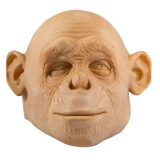 Rick Baker Planet of the Apes (2001) Production Casting Background Chimp Mask | Blacksparrow