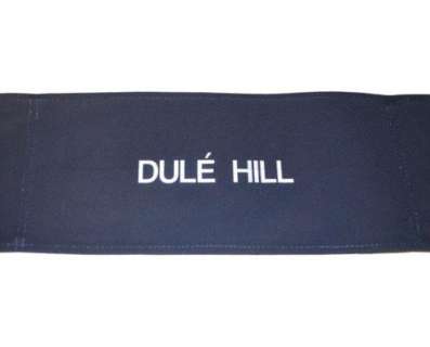 Psych - Lot 1277 - Autographed Dulé Hill Chair Back 2