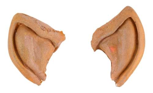 STAR TREK III: THE SEARCH FOR SPOCK (1984) - Lot #919 : Ambassador Sarek‘s (Mark Lenard) Pair of Vulcan Ear Appliances