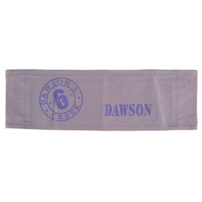 DAWSON‘S CREEK (T.V. SERIES, 1998-2003) - Lot #577E - James Van Der Beek Collection: James Van Der Beek‘s Chairback