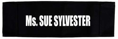 Lot 250 - (5) Directors‘ A/V club chair backs.