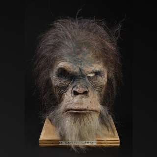 Planet of the Apes (2001) | Elder Chimp Mask | Propstore