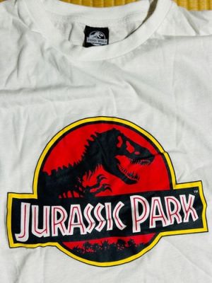 Jurassic Park T-shirt Women’s M | eBay Europe (Buy It Now)