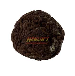 Harry Potter and the Deathly Hallows: Part 1 (2010) - Chocolate Truffle Confectionery | Hanlin Auction Service