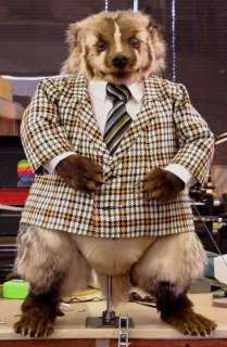 Grady The Badger Animatronic TV/Movie Props | Premiere Props