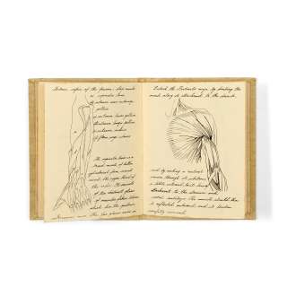 The Bride: Dr Frankenstein’s Prop Laboratory Journal, Played by Sting, Columbia Pictures, 1985, | Bonhams