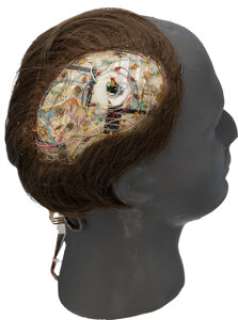 Star Trek: The Next Generation (Paramount TV, 1987-1994), Brent Spiner "Lt. Commander Data" Pair of Profile Positronic Brain Headpiece. | Heritage