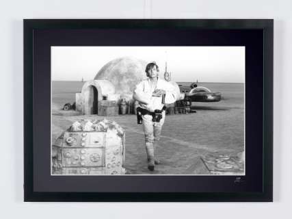 Star Wars Episode V: - a New Hope 1977 - Mark Hamill As "Luke Skywalker" | Star Wars Episode V: - A New Hope 1977 - Mark Hamill as "Luke Skywalker" - Art Photography - Luxury Wooden Framed 70X50 cm - Limited Edition Nr 02 of 30 - Serial ID 30018-2 - Original Certificate (COA), Hologram Logo Editor and QR Code | Catawiki