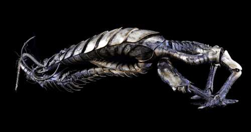 Lost in Space (2018-2021) | Scarecrow Robot Alien Arm | Propstore